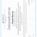 Powiększ obraz: certificate 4