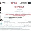 Powiększ obraz: certificate 3