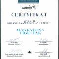 Powiększ obraz: certificate 8