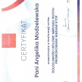 Powiększ obraz: certificate 2