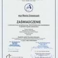 Powiększ obraz: certificate 24