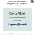 Powiększ obraz: certificate 11
