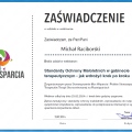 Powiększ obraz: certificate 6
