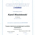 Powiększ obraz: certificate 3