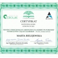 Powiększ obraz: certificate 6
