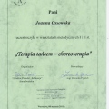 Powiększ obraz: certificate 12
