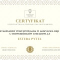 Powiększ obraz: certificate 33