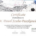 Powiększ obraz: certificate 9