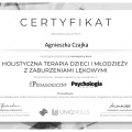 Powiększ obraz: certificate 2