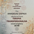 Powiększ obraz: certificate 33