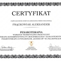 Powiększ obraz: certificate 5