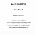 Powiększ obraz: certificate 10