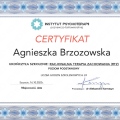Powiększ obraz: certificate 3