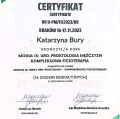 Powiększ obraz: certificate 1