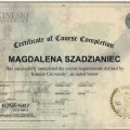 Powiększ obraz: certificate 7