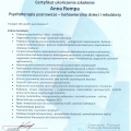 Powiększ obraz: certificate 3