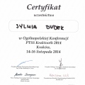 Powiększ obraz: certificate 3