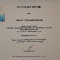 Powiększ obraz: certificate 4