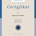 Powiększ obraz: certificate 11