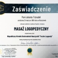 Powiększ obraz: certificate 7