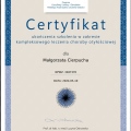 Powiększ obraz: certificate 2