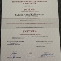 Powiększ obraz: certificate 2