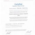 Powiększ obraz: certificate 4