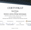 Powiększ obraz: certificate 8