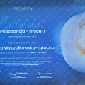 Powiększ obraz: certificate 3