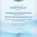 Powiększ obraz: certificate 3