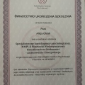 Powiększ obraz: certificate 2