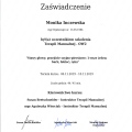 Powiększ obraz: certificate 2