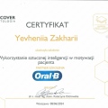 Powiększ obraz: certificate 13