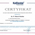 Powiększ obraz: certificate 6