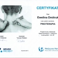 Powiększ obraz: certificate 5