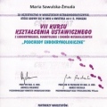 Powiększ obraz: certificate 42