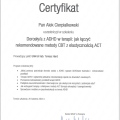 Powiększ obraz: certificate 5