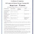 Powiększ obraz: certificate 8