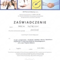 Powiększ obraz: certificate 141