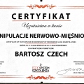 Powiększ obraz: certificate 8