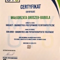 Powiększ obraz: certificate 5