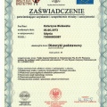 Powiększ obraz: certificate 3