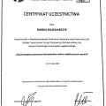 Powiększ obraz: certificate 2