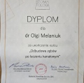 Powiększ obraz: certificate 8