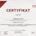 Powiększ obraz: certificate 3