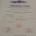 Powiększ obraz: certificate 3