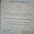 Powiększ obraz: certificate 9