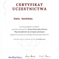 Powiększ obraz: certificate 22