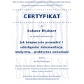Powiększ obraz: certificate 273