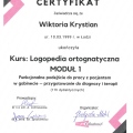 Powiększ obraz: certificate 2